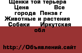 Щенки той терьера › Цена ­ 10 000 - Все города, Пенза г. Животные и растения » Собаки   . Иркутская обл.